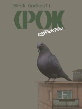 Srok Godnosti