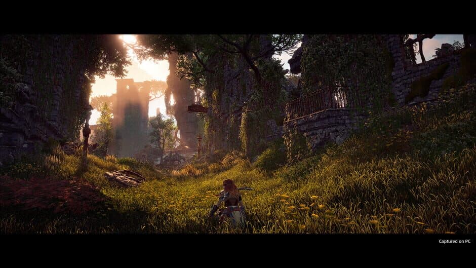 Horizon Zero Dawn: Complete Edition