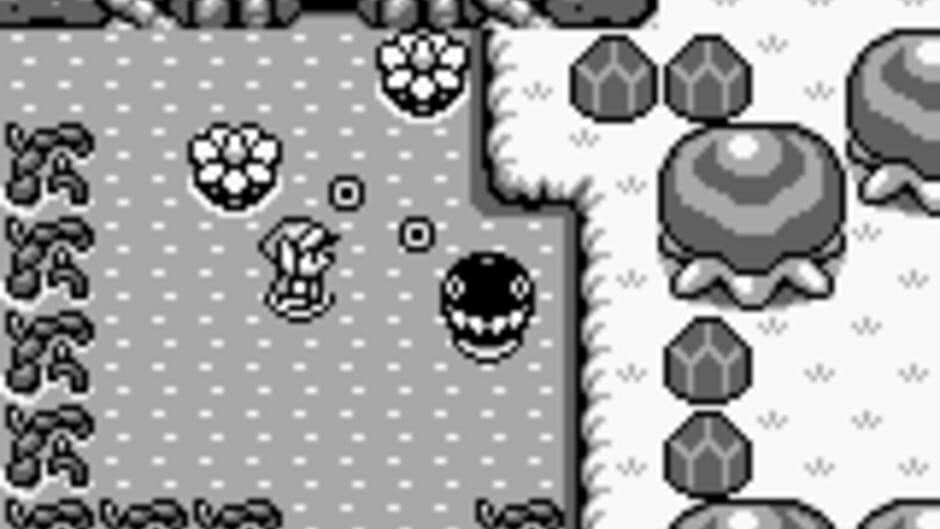 The Legend of Zelda: Link's Awakening