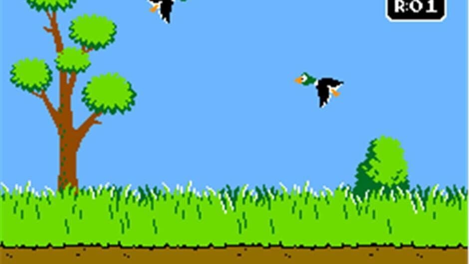Duck Hunt