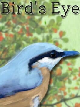 Bird's Eye